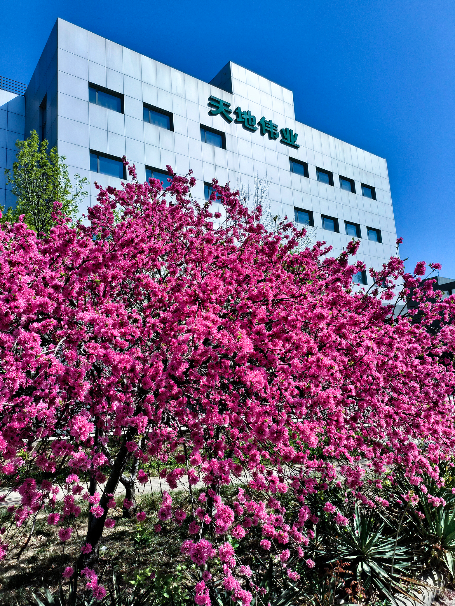 壹定发·(EDF)最新官方网站