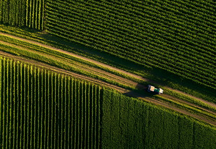 壹定发·(EDF)最新官方网站